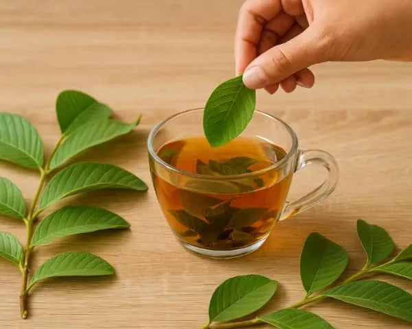 Guava Leaf — Nature’s Green Gold for Wellness