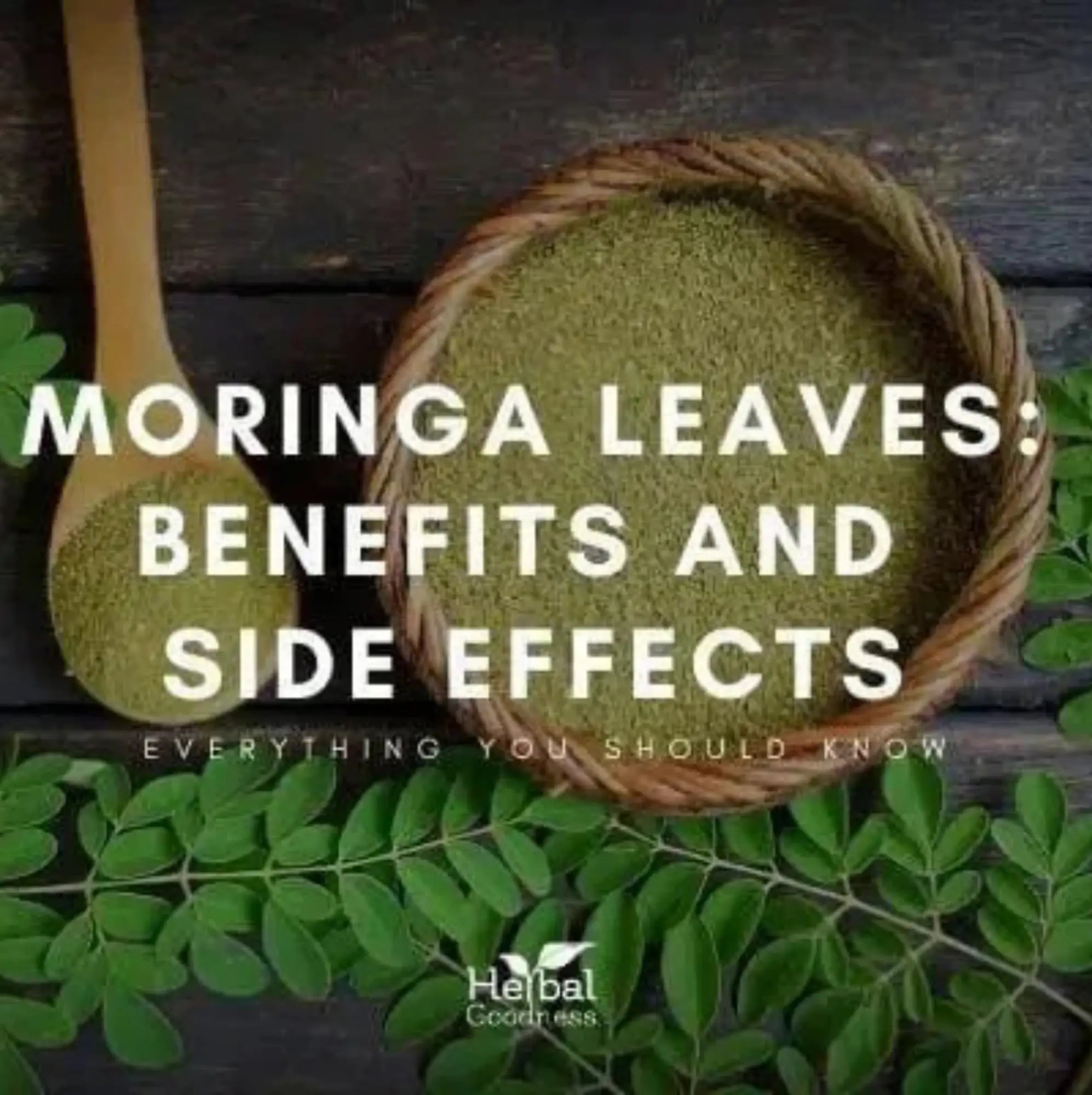 The Health Benefits and Effects of Moringa Leaves