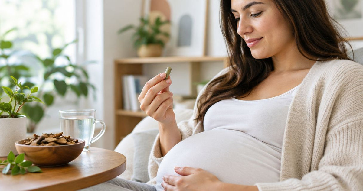 Cat's Claw During Pregnancy: Avoid It | 2026