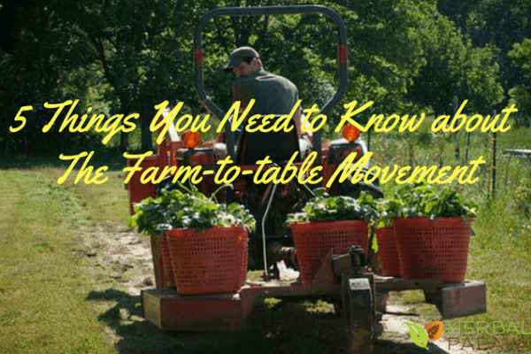 5 Things You Need to Know about the Farm-to-Table Movement