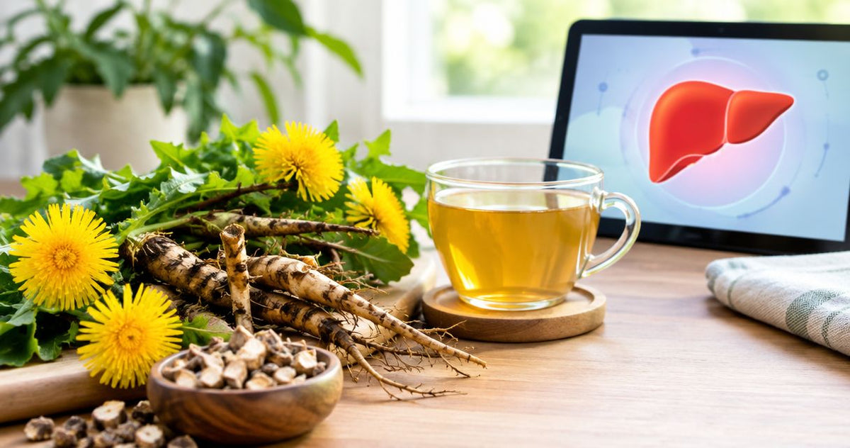 Dandelion Root Liver Detox How Long? No Timeline | 2026