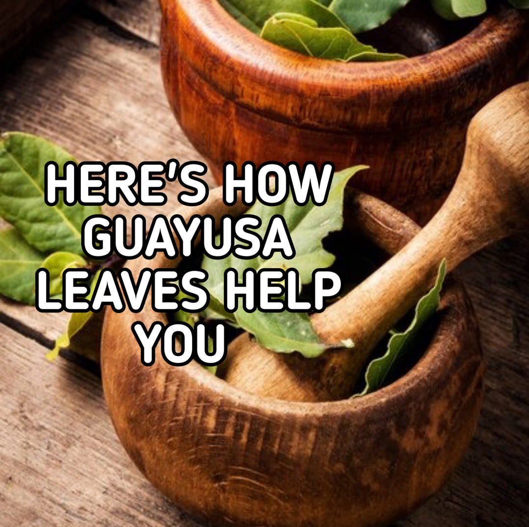 Here's How Guayusa Leaves Help You | Herbal Goodness