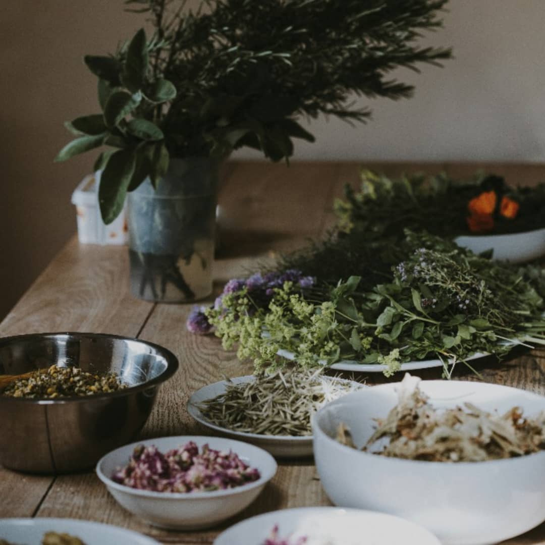 3 Herbs That May Support Healthy Blood Pressure | Herbal Goodness