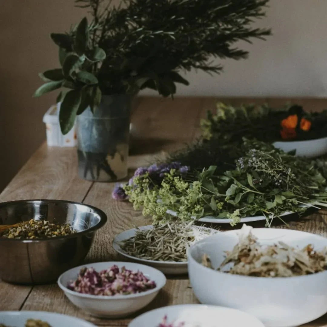 3 Herbs That May Support Healthy Blood Pressure | Herbal Goodness
