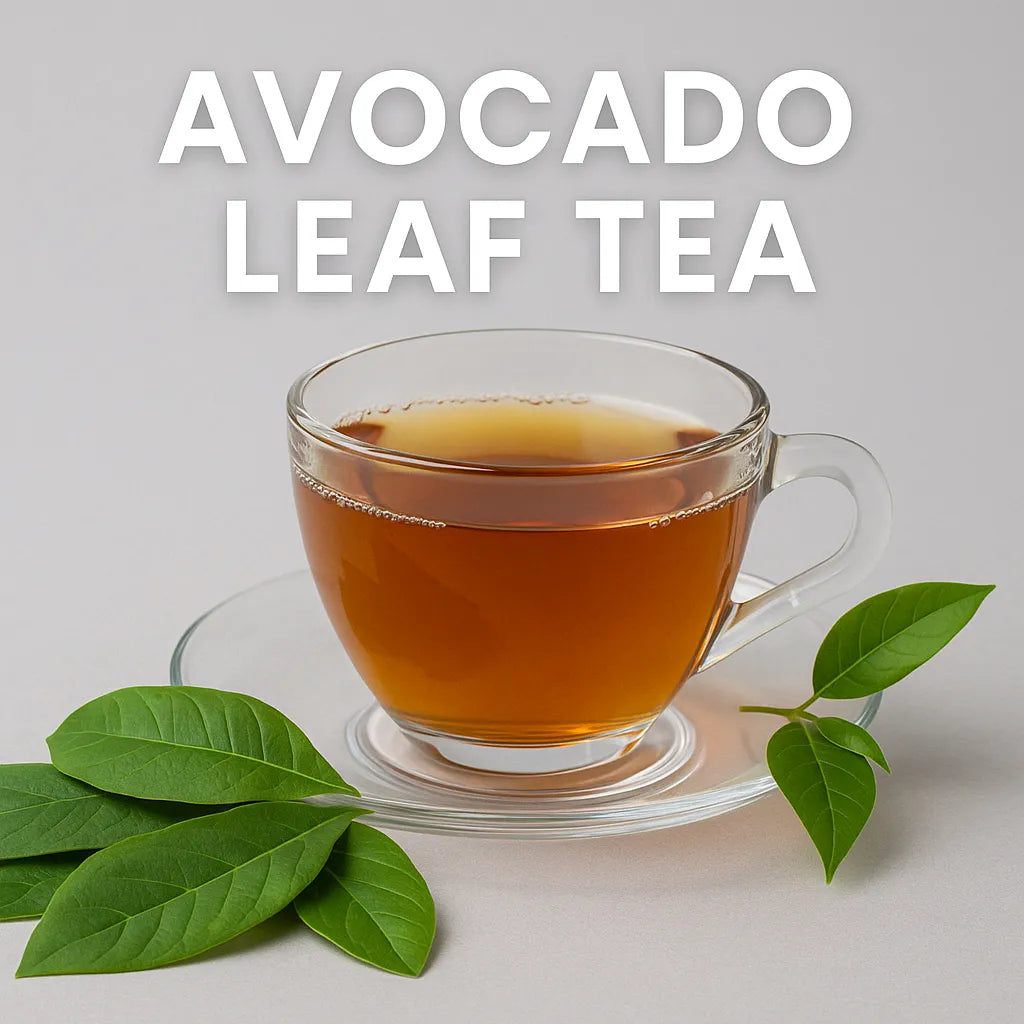 A Holistic Approach to Health Using Avocado Leaf Tea | Herbal Goodness