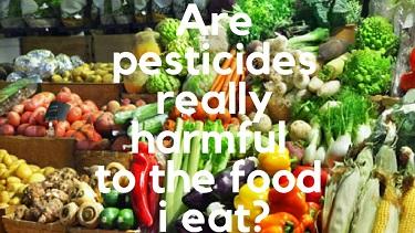 Are pesticides really harmful to the food I eat? | Herbal Goodness