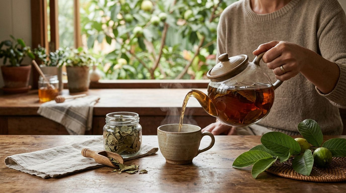 Best guava leaf tea in 2026