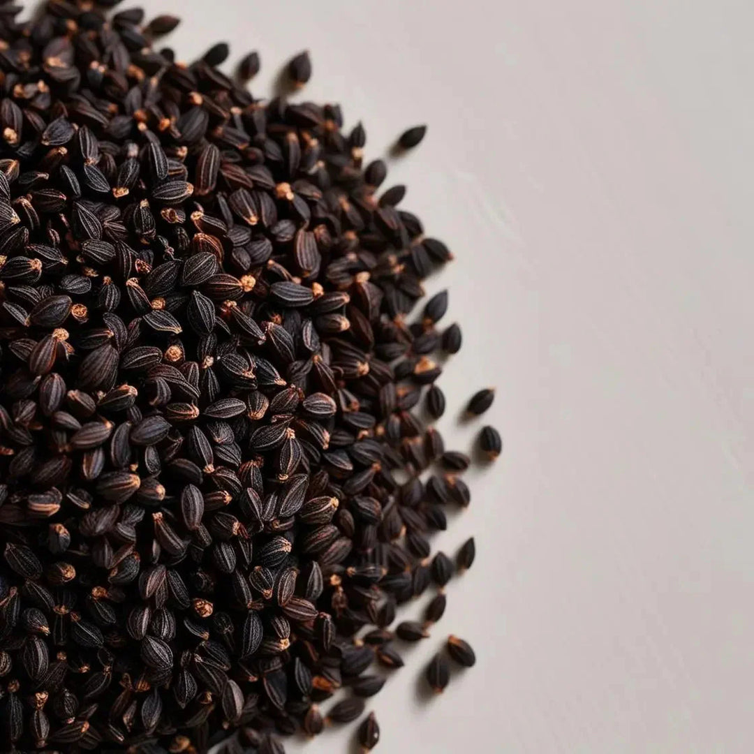 Black Cumin Seed: Oil, Extract and Benefits | Herbal Goodness