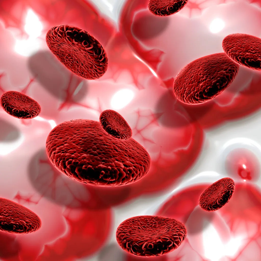 Blood Platelets: Function, Count, and How to Support Healthy Levels