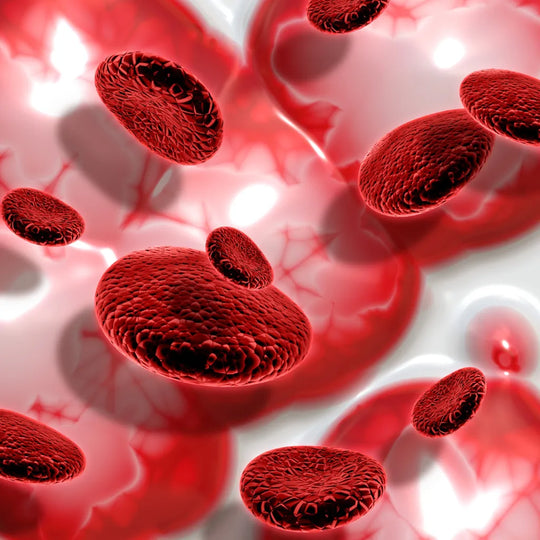 Blood Platelets: Function, Count, and How to Support Healthy Levels