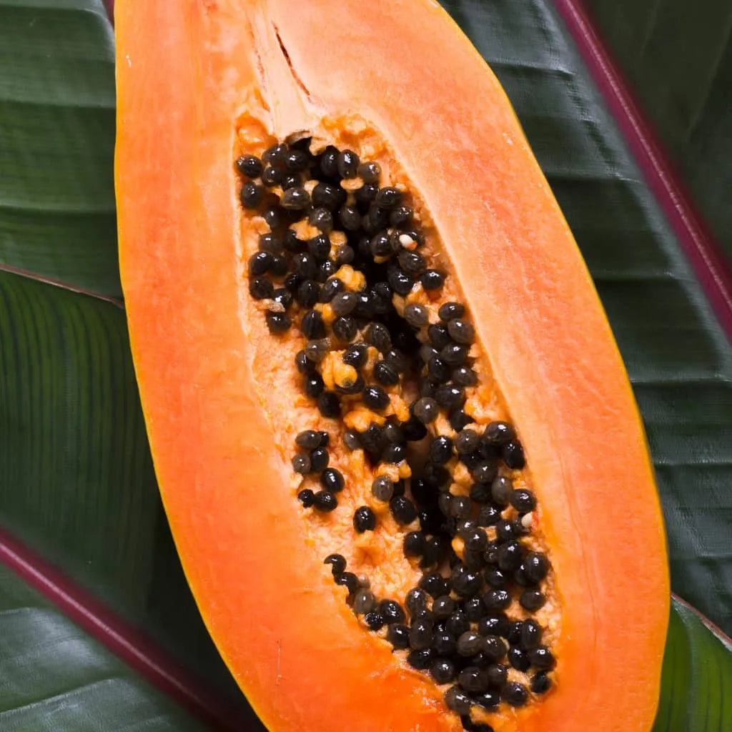 Boost Platelets & Immunity with Papaya Leaf Extract (Carica Papaya)