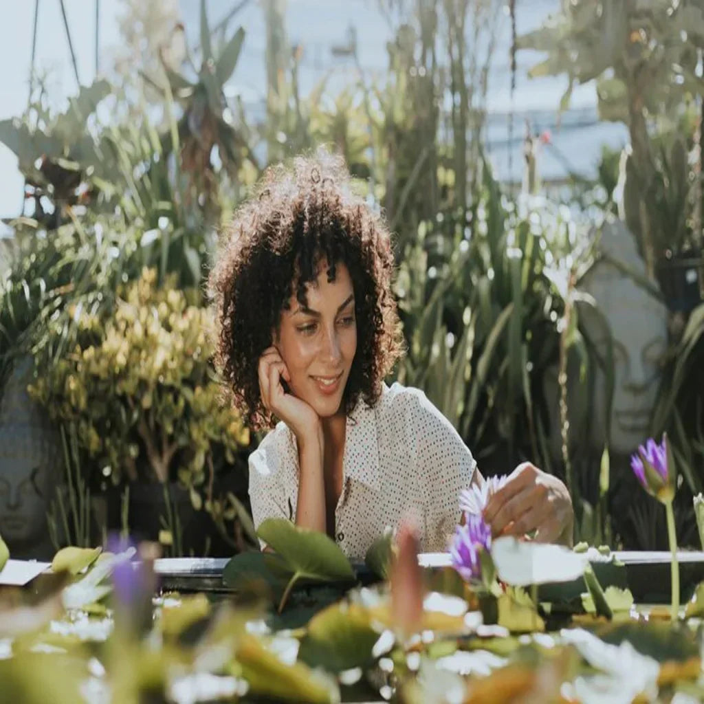 Herbal Approaches to Wellness: Insights from Scientific Research