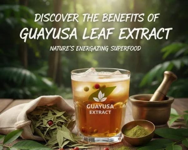 Discover the Benefits of Guayusa Leaf Extract: Nature's Energizing Superfood