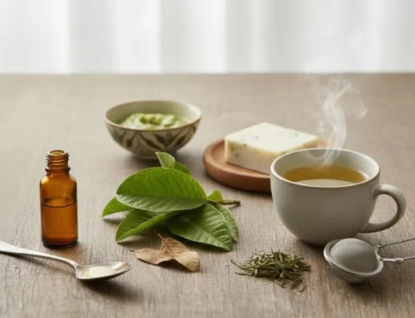 Guava Leaf Guide: Benefits Uses and Everyday