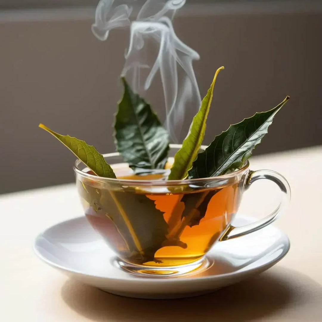 Guava Leaf Tea Benefits for Human Health