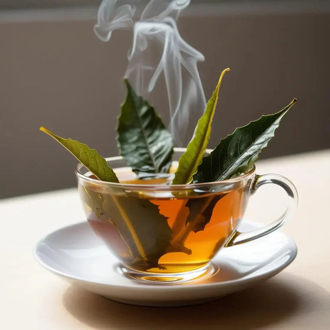 Guava Leaf Tea Benefits for Human Health | Herbal Goodness