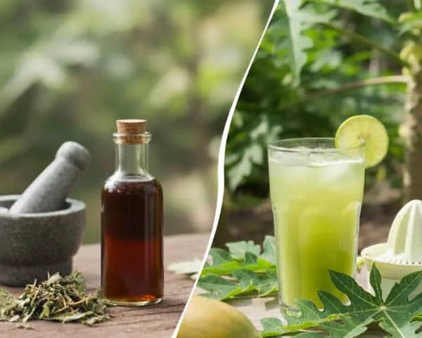 Papaya Leaf Extract vs. Papaya Leaf Juice: Which One is Right for You?