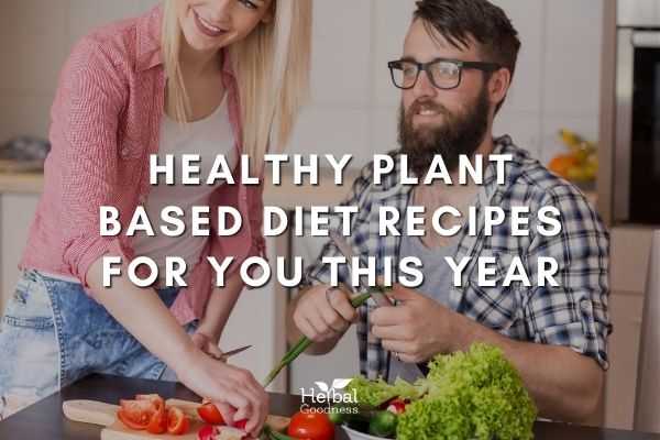 Healthy Plant Based Diet Recipes for You This Year | Herbal Goodness