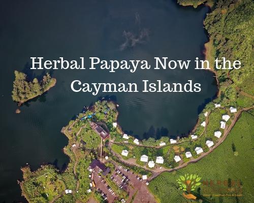 Herbal Papaya Now in GNC Cayman Islands