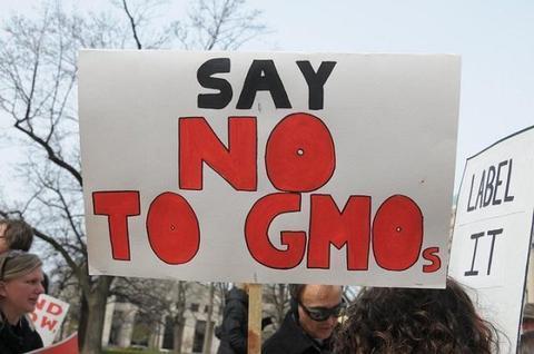 Here's What You Need to Know about Non-GMO Foods (October is Non-GMO Month)