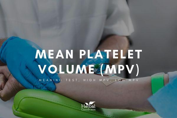 Mean Platelet Volume (MPV) | Herbal Goodness