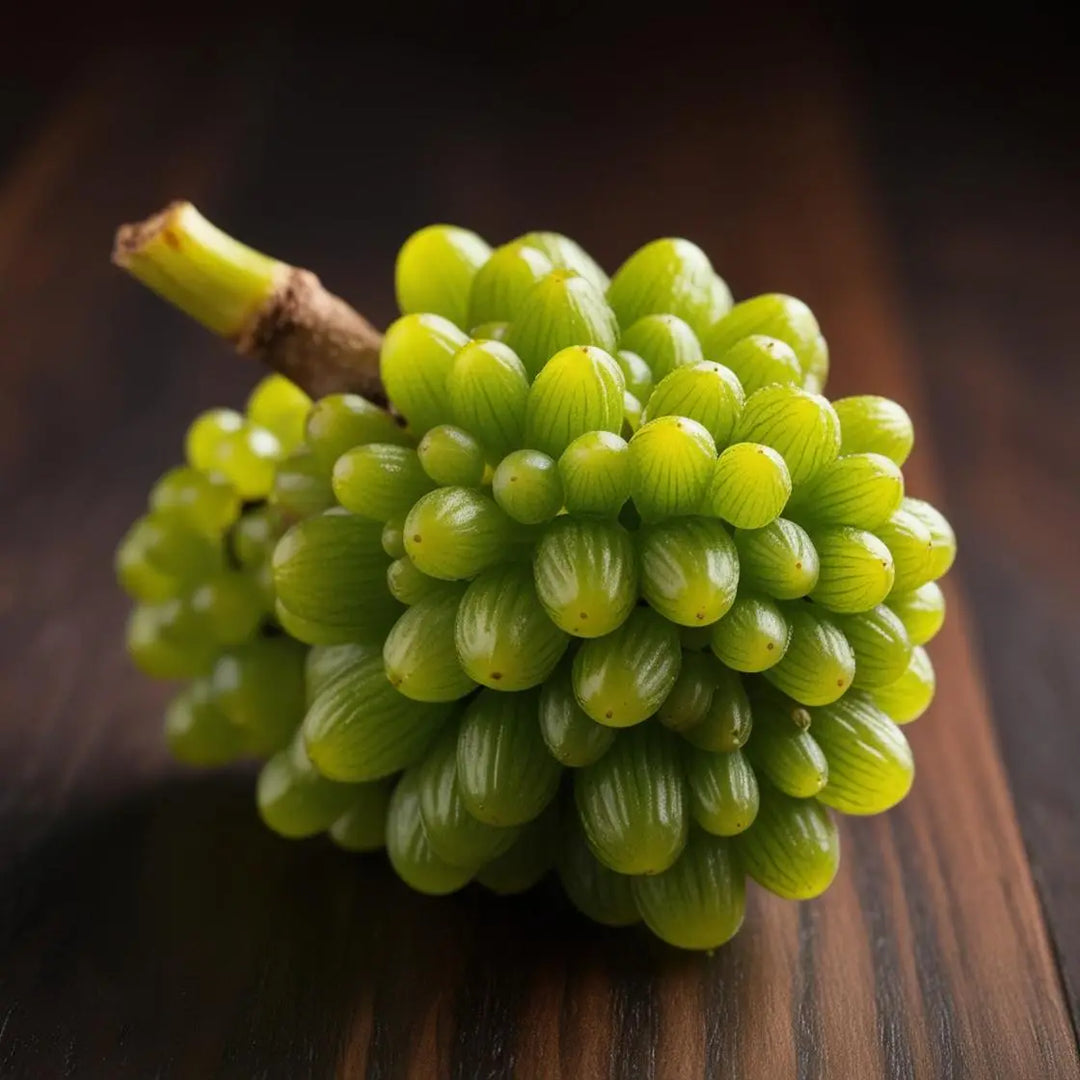 Cluster of bright yellow flowers and green leaves, highlighting Oregon Grape Root in the Pacific Northwest.