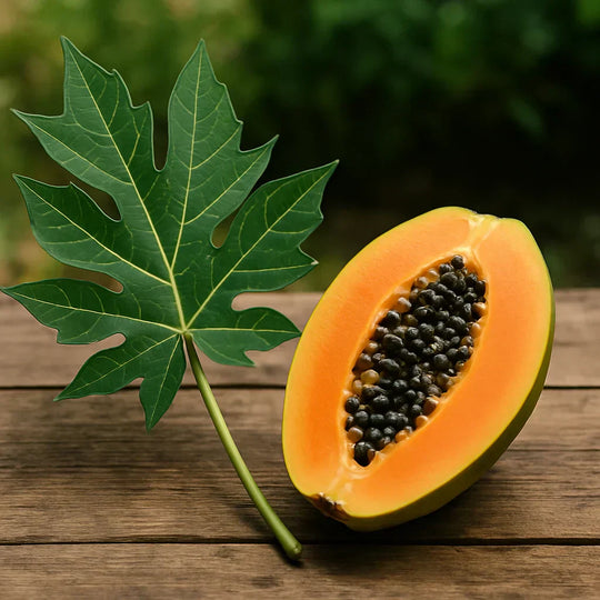 Papaya Leaf Extract Capsules: 4 Science-Backed Benefits for Digestive Health, Immunity & Radiant Skin