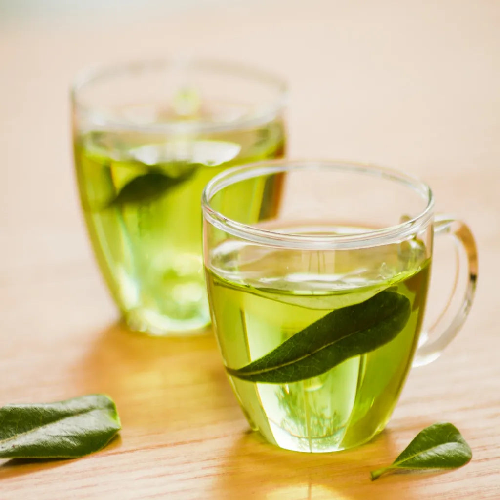 Guayusa Tea: Benefits, Uses, and Why You Should Try It