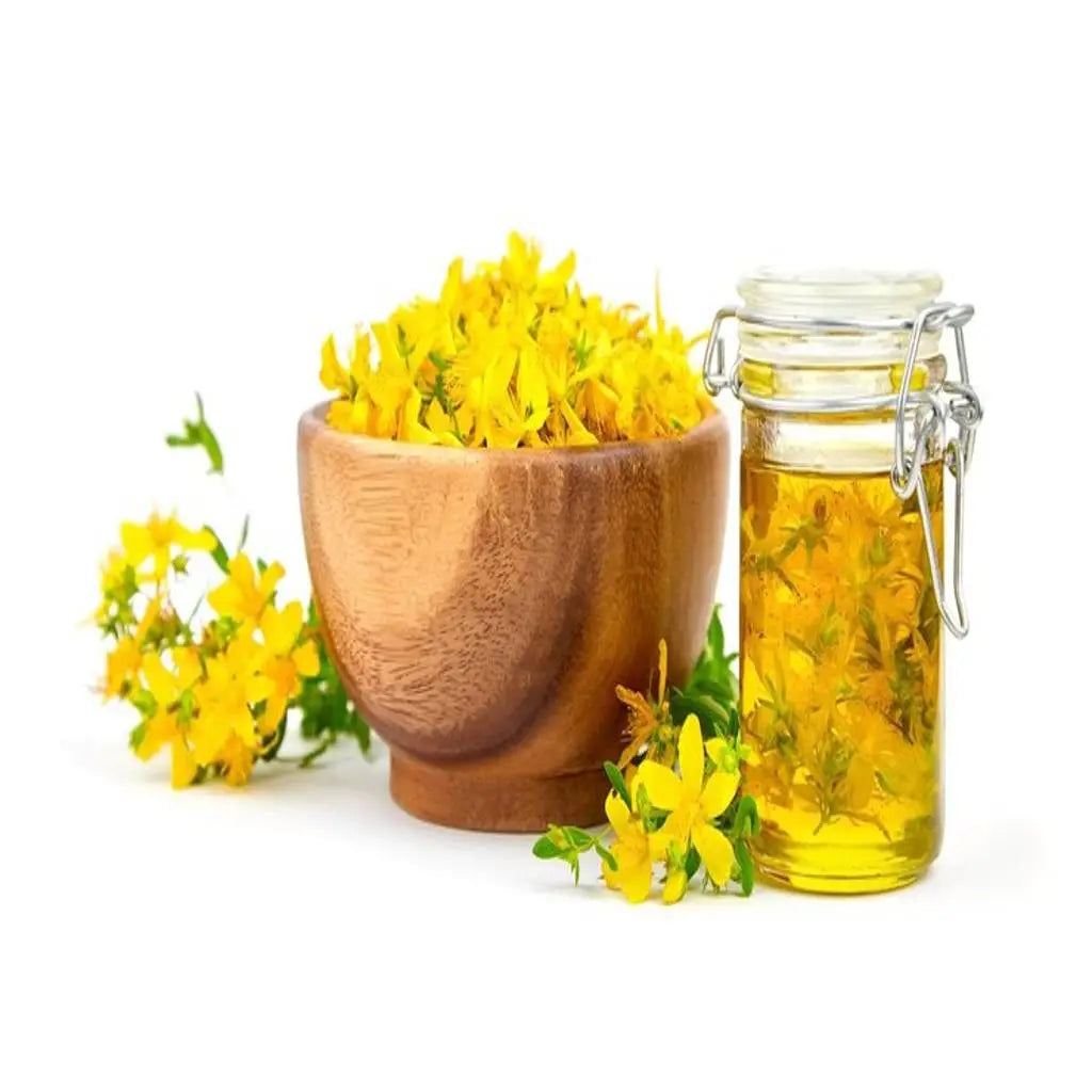 St. John’s Wort: Natural Support for Mental Health and Stress Support