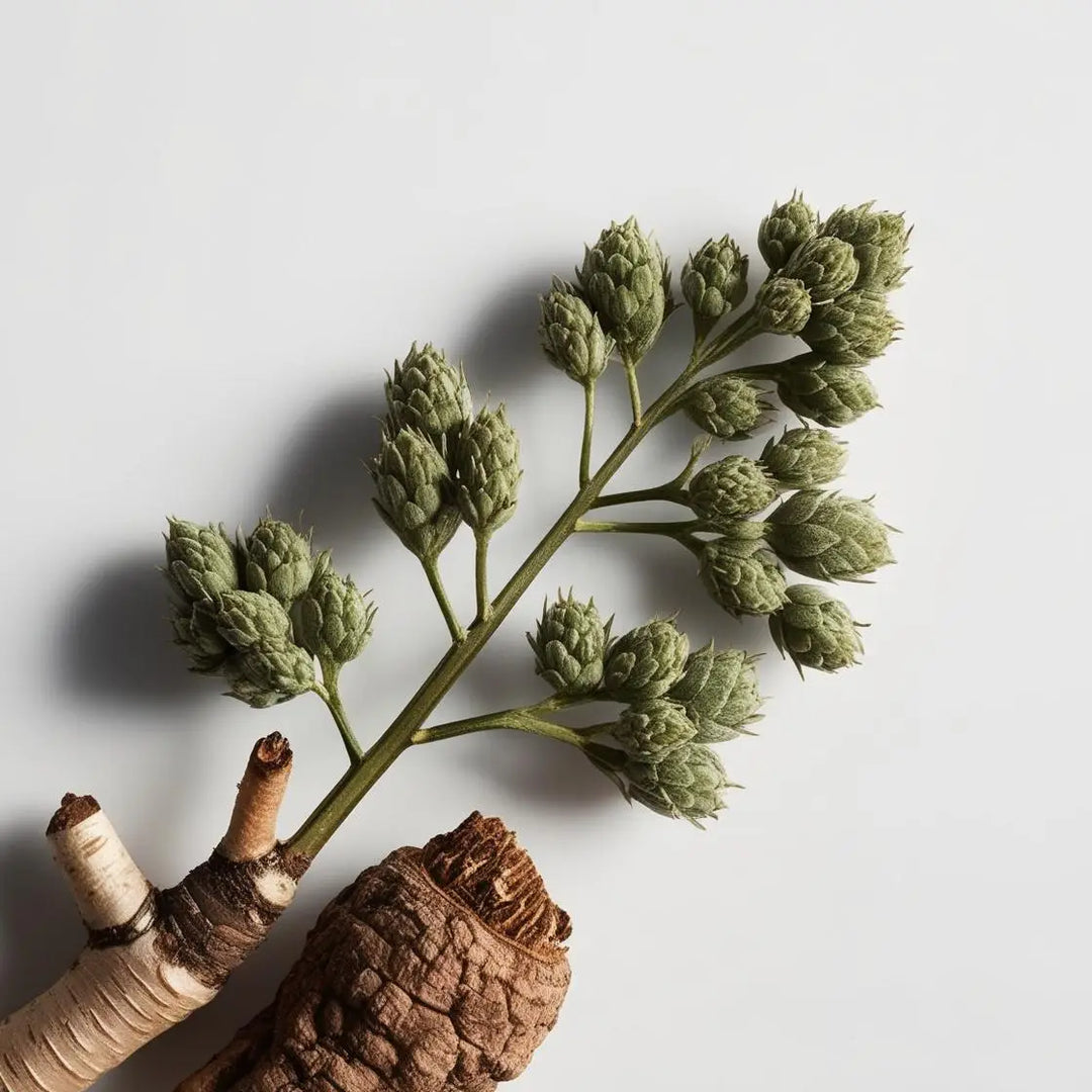 The Power of Medicinal Herbs: A Closer Look at Cat’s Claw