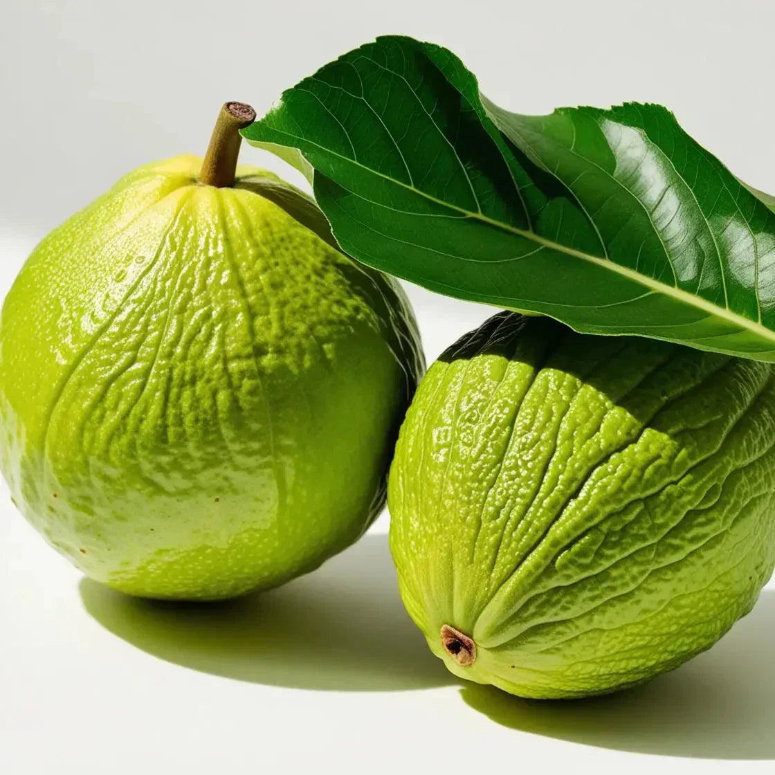 Guava Leaves: Unlocking Natural Calm and Relaxation Benefits