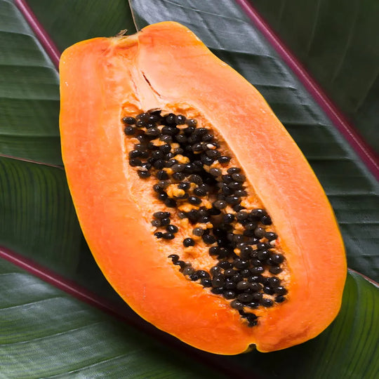What are the edible parts of the papaya? | Herbal Goodness