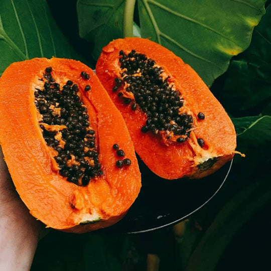 What is Papaya leaf extract? | Herbal Goodness