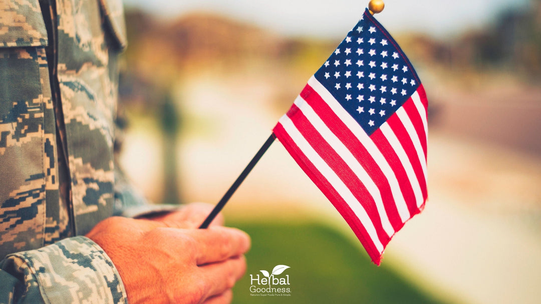 What is Veteran's Day and Why Do We Celebrate It? |Herbal Goodness