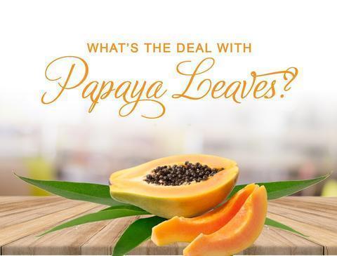 What’s the Deal with Papaya Leaves?