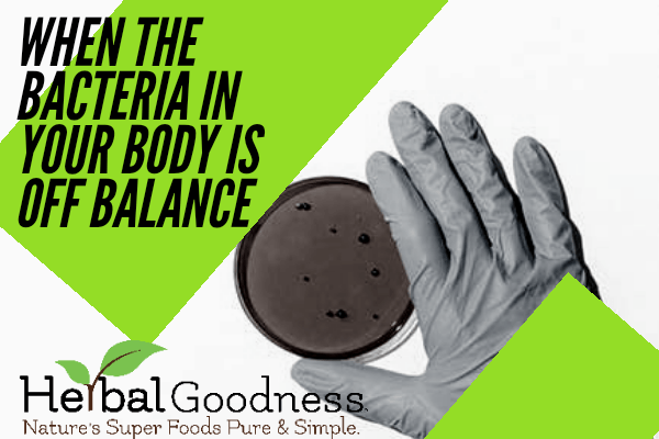 When The Bacteria in Your Body is Off Balance | Herbal Goodness
