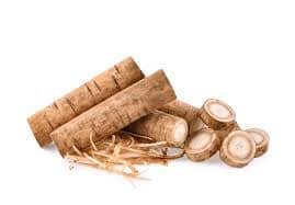 Wonders of Burdock Root: A Beacon of Natural Healing
