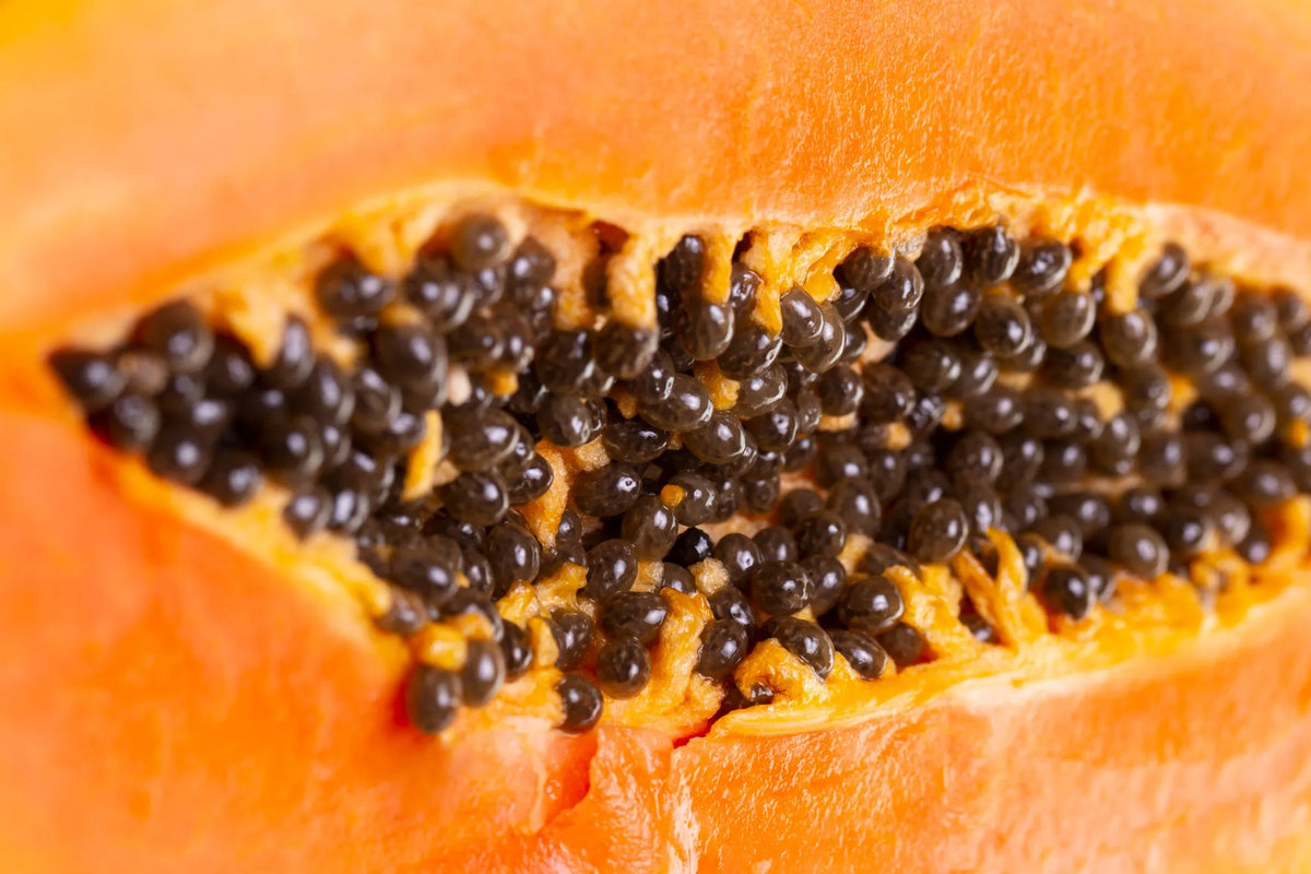 Your Detox Journey with Papaya Seeds | Herbal Goodness