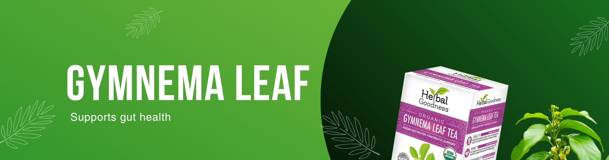 Gymnema