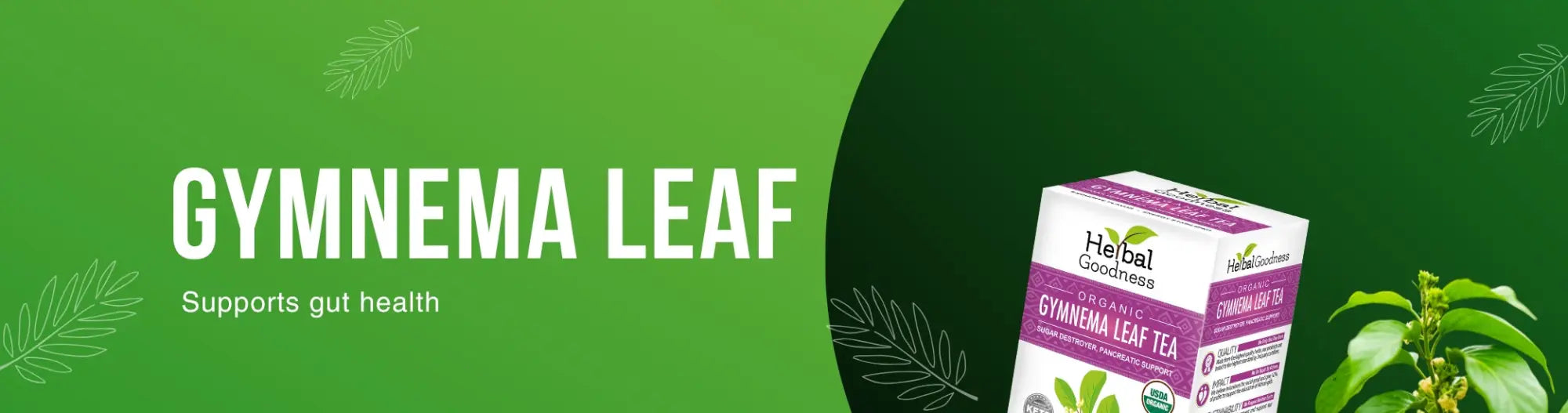 Gymnema