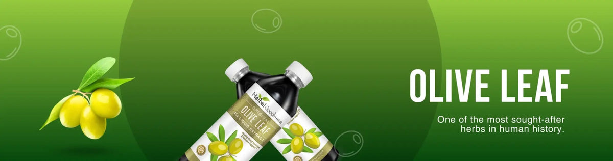 Olive Leaf