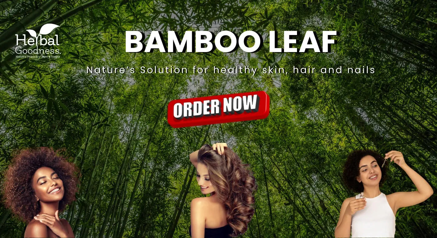 Bamboo Leaf: Ancient Wellness Secret for Body Mind and Skin