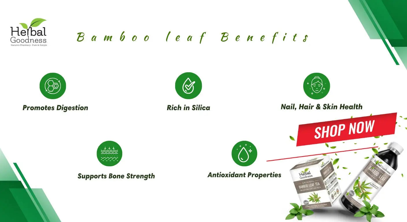 Bamboo Leaf: Ancient Wellness Secret for Body Mind and Skin