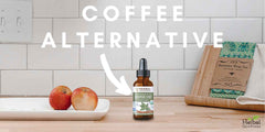 guayusa coffee alternative herbal goodness