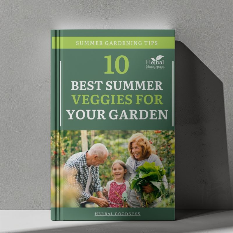 Resources and Free Ebooks