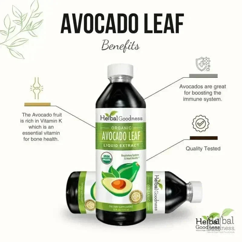 Avocado Leaf Extract - Liquid Extract - Herbal Goodness Liquid Extract Herbal Goodness 