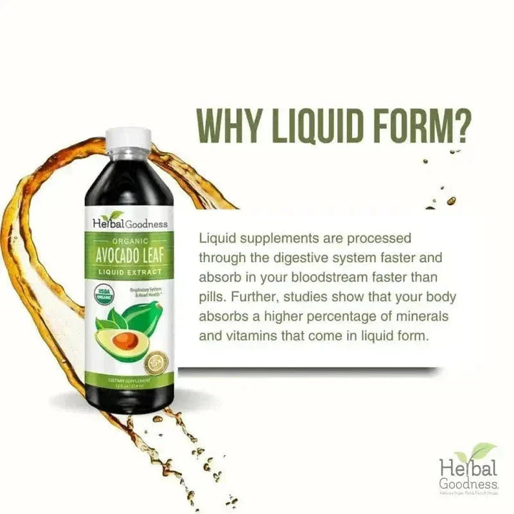 Avocado Leaf Extract - Liquid Extract - Herbal Goodness Liquid Extract Herbal Goodness 
