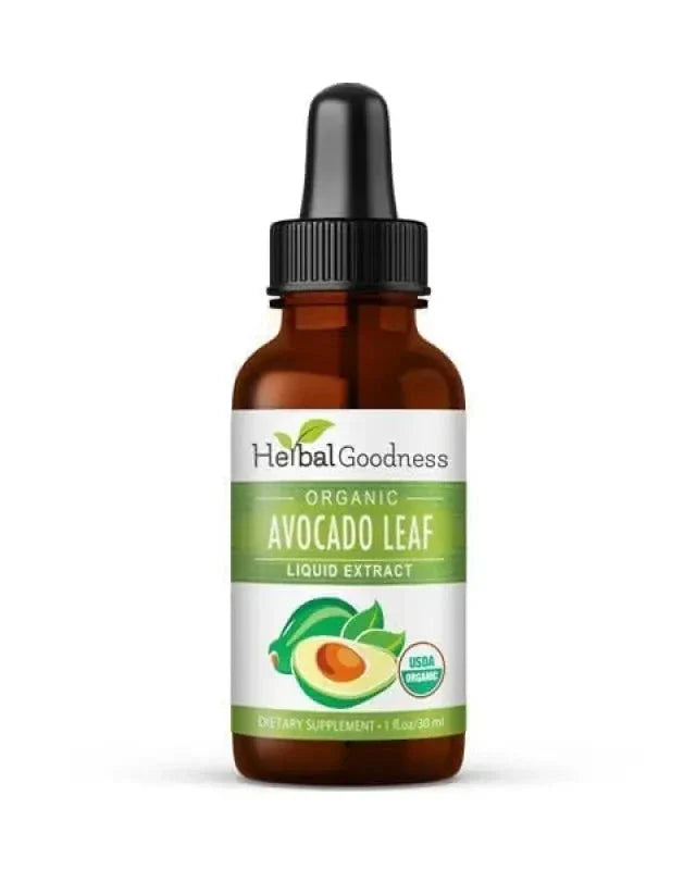 Avocado Leaf - Organic 1oz 15X Liquid Extract - Immunity & Heart Health Liquid Extract Herbal Goodness 1 oz 