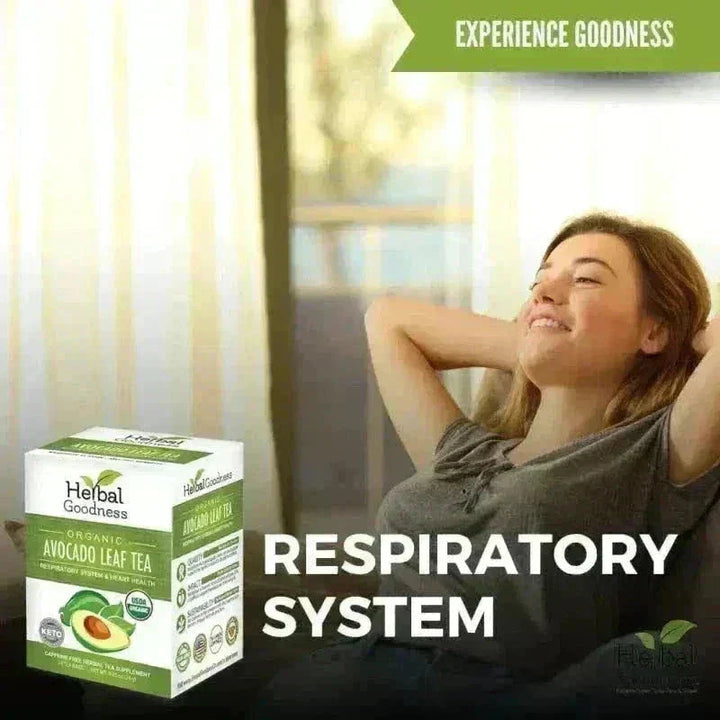 Avocado Leaf Tea - Organic 24/2g Tea bags - Immunity & Heart Health Tea & Infusions Herbal Goodness 