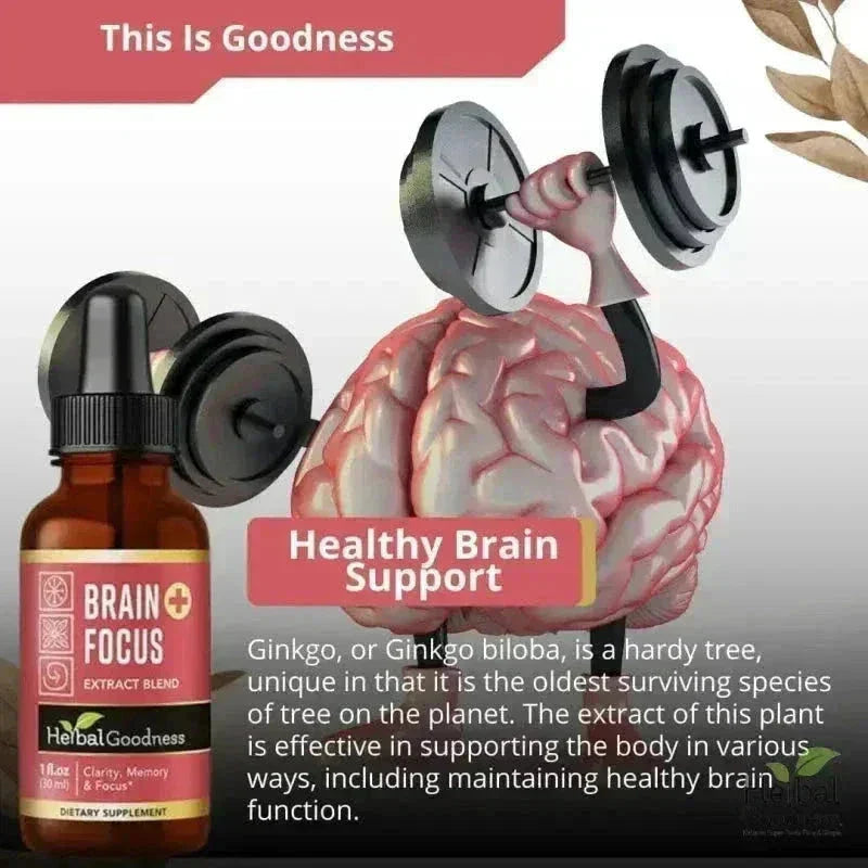 Brain and Focus Liquid Extract - Nootropic Brain Supplement - Herbal Goodness Liquid Extract Herbal Goodness 